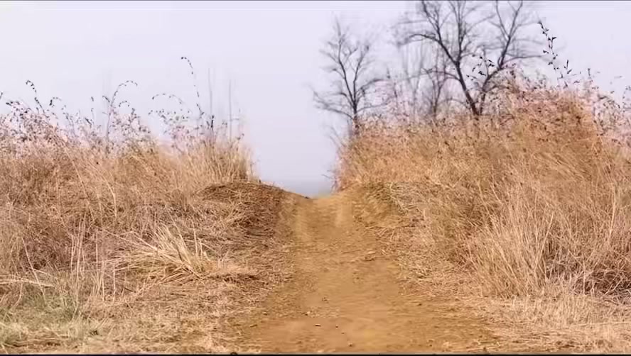 تبارك الله وصلت كفر سيارة ريالرو  حجم  ١:١٠ جديدة بل نايلون معه لزكات مالته
قطعه ب ٣٠ الف توصيل موجود


**إذا كنت صاحب هذا الإعلان وتريد حذفه لأي سبب، رجاءا أرسل رسالة إلى الدعم الفني**