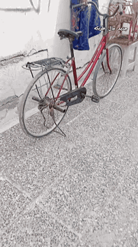 سلام عليكم شلونك عمي 
بيسكل للبيع لون رماني
شركه براود موديل 2014
سعر 55 وبي مجال 
اغراضه كاملات
اليفيده يدش خاص
مكاني عسكري شارع السبيس


**إذا كنت صاحب هذا الإعلان وتريد حذفه لأي سبب، رجاءا أرسل رسالة إلى الدعم الفني**