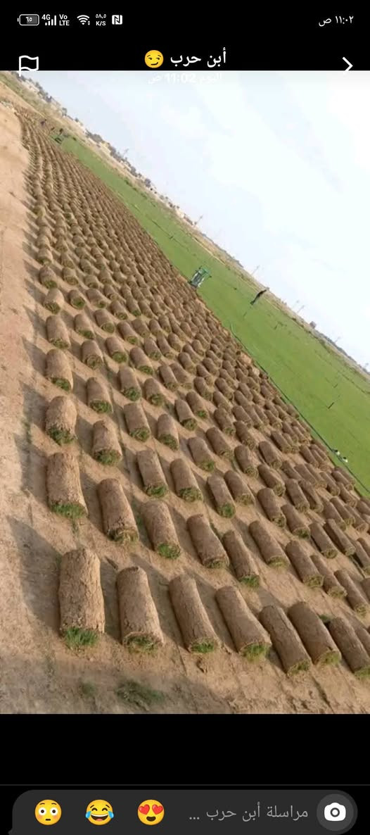 ثيل هندي درجه وله العلم توصيل لجميع المحافظات بسعر مناسب قطعه والون وهاذه رقمي  ‏‪***********‬‏🌴🎋🌲🌳🌱🌿🥀بسم الله الرحمن الرحيم نبدة بصلاتت
علا الي محمد والي محمد 

توفر عدنة حالين توصيل والتجهيز الثيل  الطبيعي 

ويتوفر زراعة الثيل 

حسب الطلب النوع الثيل والكمية 

وليطلب شتلات معة الثيل نوصله ثيل وشتلات 

🌹🥀🌷🌴🪴🌲🌳🌱🌿🌵🍀🌿🪴🌺  

يطلب نوع الثيل ويطلب نوع الشتلات نوصلة 

التوصيل للكل محافضات القراق 

ممن خلال اتصالكم علة شركة 

مزارع ديالى الطبيعي

زراعة اماكم جزرات وصطية متنزهات بيوت ملاعب 

حداءق عام
