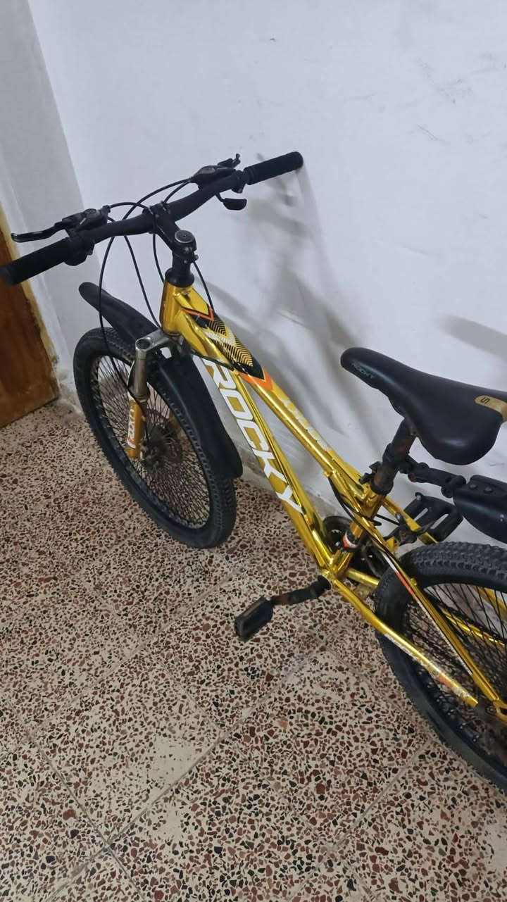 سلام عليكم الموشراي يصلي ع نبي ويعبر المنشور 🌹بايسكل جبلي دبلات ماركه مستخدم قليل اخو الجديد كامل مابي اي نقص جوابه تايرات بريكات كامل سعر 65 وبي مجال بسيط والميعرف سعره ليكسر بي 🌹مكاني تكريت القادسيه


**إذا كنت صاحب هذا الإعلان وتريد حذفه لأي سبب، رجاءا أرسل رسالة إلى الدعم الفني**