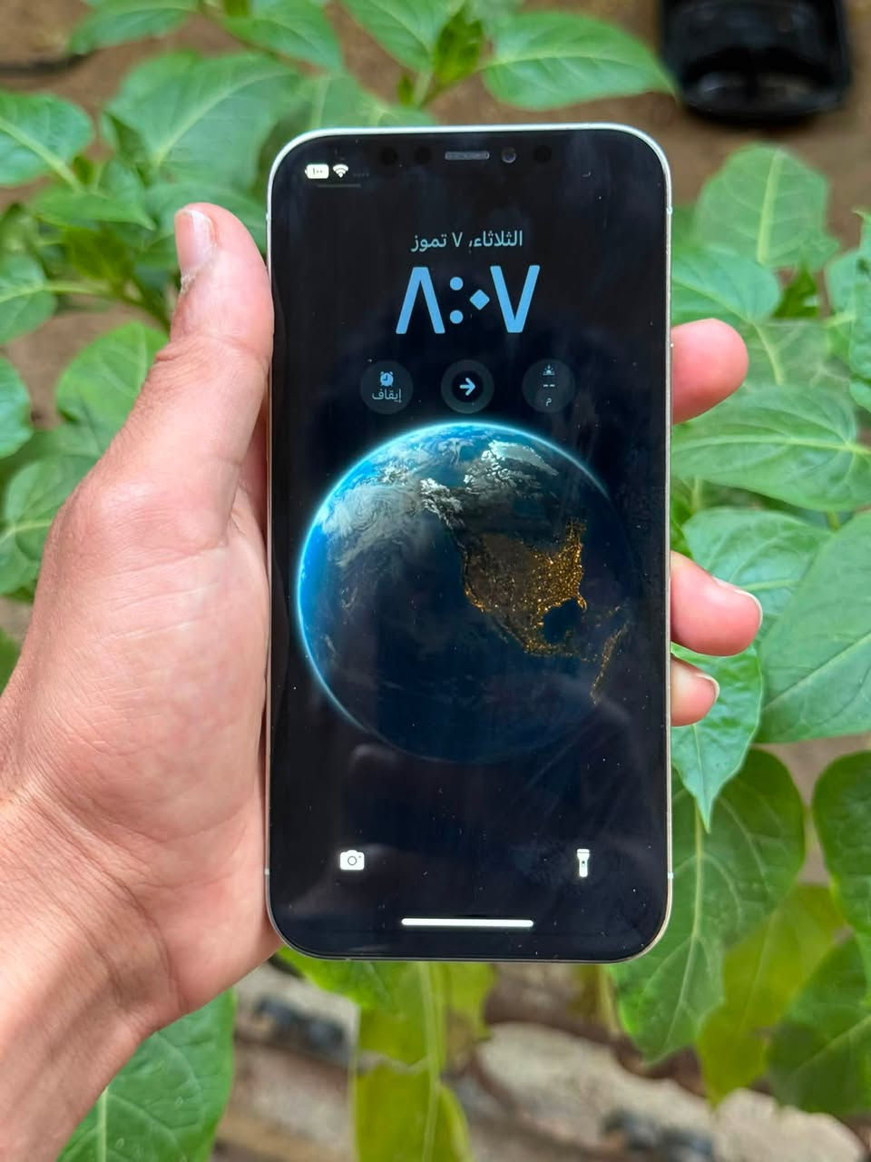 ايفون 12 برو (فقط)
ذاكره 💾128
بطاريه 🔋 100 مبدله قطارة
مبدل شاشه + السيمكرت مايشتغل
النظافة كدام العين
السعر 190 وبي مجال والشراي يتفضل خاص


**إذا كنت صاحب هذا الإعلان وتريد حذفه لأي سبب، رجاءا أرسل رسالة إلى الدعم الفني**