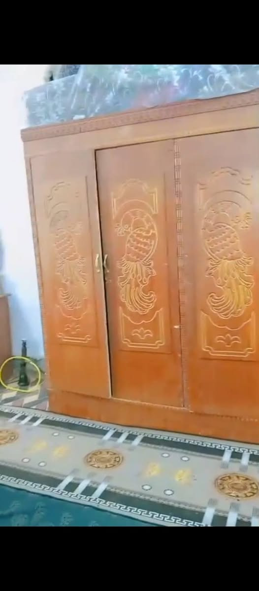 غرفه تسكام سعر 250وبيه مجال مكان ناصريه بل شطره 🛏


**إذا كنت صاحب هذا الإعلان وتريد حذفه لأي سبب، رجاءا أرسل رسالة إلى الدعم الفني**