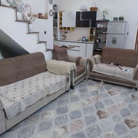 تخم • هيكل • يحتاج ترتيب