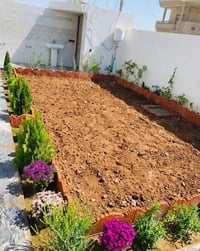 ترتيب حدائق • حدائق زينة • قضاء راوه