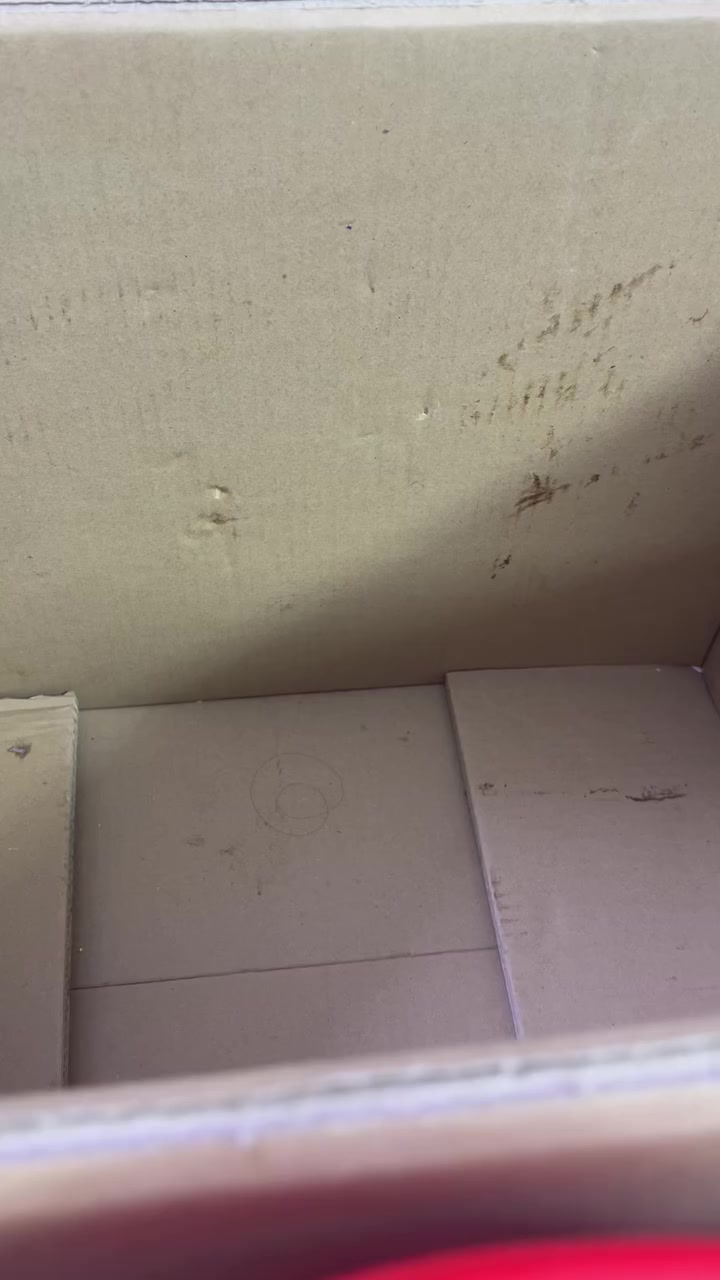 شلعه رقم ٢ سعر ١٥ توصيل مجاني


**إذا كنت صاحب هذا الإعلان وتريد حذفه لأي سبب، رجاءا أرسل رسالة إلى الدعم الفني**