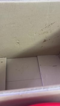 شلعة • رقم ٢ • توصيل مجاني