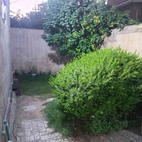 العلگاية • طابو صرف • ٢٥٠م