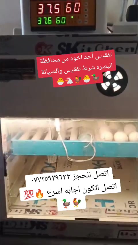 مكتب البيادر البصره القرنه 🦃🐣🐓🐔🔥
يوجد كافه فقاسات الدجاج وشرط الضمان الصيانه والتفقيس أقوى فقاسات متوفره 🐣🐤 اتصل عرقم وتدلل ***********
يوجد توصيل

