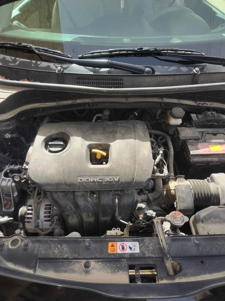 سلام عليكم كيا سول 2023 ماشيه 35 KM وارد امريكي مكينه 2000 دوش حادثهه بنيد فقط بدون دواخل السعر 147 وبيهه مجال الشراي يتصل *********** دهل اوران, واسط
