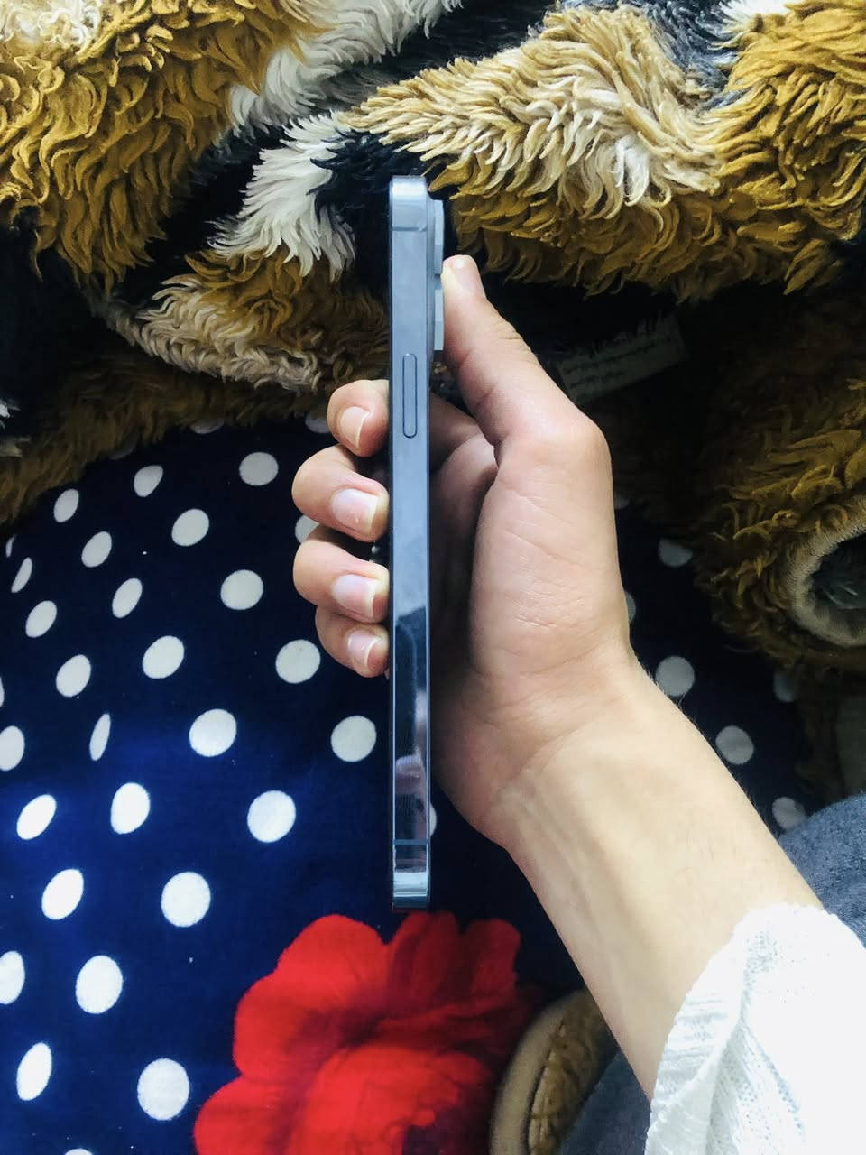 سلام عليكم
ايفون ١٣برو ماكس 
ذاكرة ٢٥٦
بطارية ٨٨
دبل سيم
فيس ايدي شغال 
جهاز كله شغال نضافة ٩٥٪؜١٠٠
فقط مبدل شاشة 
سعر ٥٠٠وبي مجال بسيط


**إذا كنت صاحب هذا الإعلان وتريد حذفه لأي سبب، رجاءا أرسل رسالة إلى الدعم الفني**