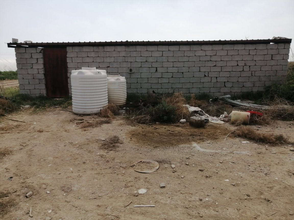 سلام عليكم حقول دواجن عدد٢ بلاستك يشيلن ١٦٠٠٠الف وياهن محصار مال عجول وبيت وياهن مال عائلة مولدات عدد اثنين ومائ وكهرباء ومناهل ومعالف كاملة بس جيب افراخ سعرهن مناسب للاستفسار الاتصال على الرقم *********** مكانهن بالناصريه

