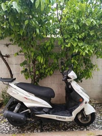 سكنس فحل • محرك ناعم • ما مفتوح