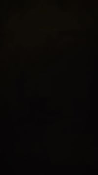 جيان كلاسيك • ورق جدران • ديكور