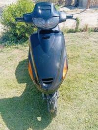 فراشه نثيه • اسود • مكينه مكفوله