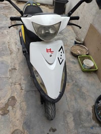 جلولاء • مرخصة • ماكس