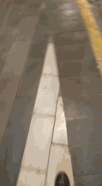 سايبة • ٢٠١٢ • رحمانية الجعيفر