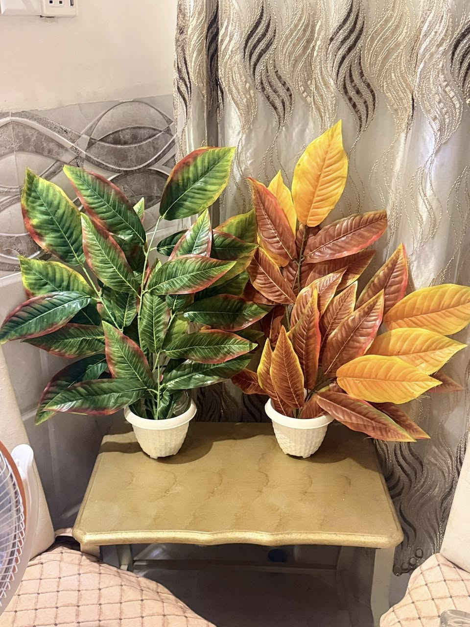 طبلات قحوفه كلهم ٣٥  قفل مكاني حي المزارع


**إذا كنت صاحب هذا الإعلان وتريد حذفه لأي سبب، رجاءا أرسل رسالة إلى الدعم الفني**