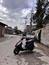 ماكس عدله • بلاديه • سلف