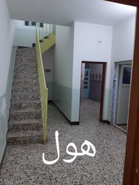 بيت • ١٠٠م • سنونو جزيرة