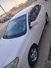 النترا • ٢٠١١ • سليمانيه