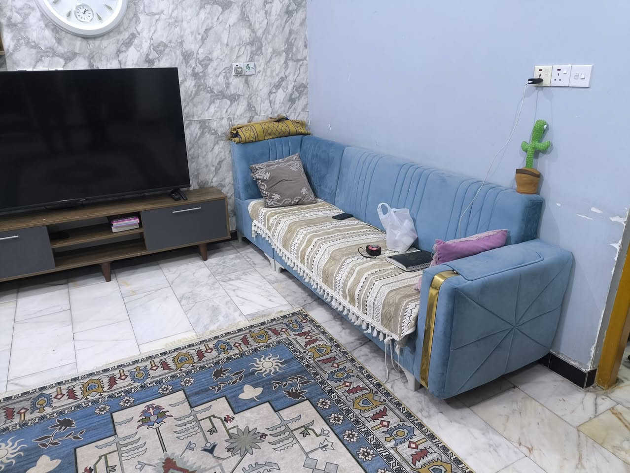 مكلف بالنشر
تخم للبيع نظيف ***********
