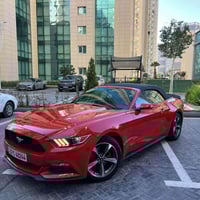 موستانغ • دواخل جلد • رقم أربيل