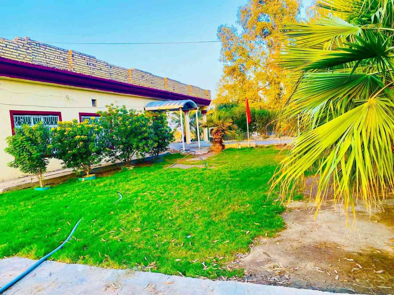 اخوان بيع مستعجل 
مزرعة للبيع 11 دوانم مع 3 دور سكنية جاهزة للسكن طابو زراعي سند 25 باسم شخص واحد فقط راقية جدا بناءحديث توجد فيها كافة الخدمات ومختلف الأشجار ونخيل والحمضيات مع بحيرة اسماك والحمضيات مع حقل عجول 
#العنوان  بابل مقابل شركة رنا نزلة خفاجة  شارع الرفيعات 
#وتوجد لدينا عدة دوانم ومزارع وعروض ومقاطعات ودور سكنية  عليكم متابعة الصفحة لطفا أو الاتصال بنا ويظهر لكم كل ما هو جديد لدينا مع فائق التقدير
***********
