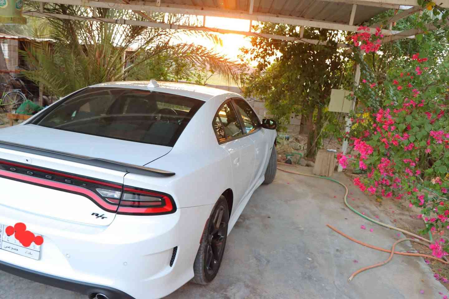 جارجر RT 2022  سيارة جديدة محرك  5700  رقم بغداد باسمي
ماشية 19 الف( كيلو)  /كشنات حضن
شاشة جبيرة كشن كهرباء
تشغيل عن بعد
شفتات ستيرن ويل 20 اصلي
باقي المواصفات معروفه 
سعر 260 $ 
مكان سيارة/ بغداد/المنصور/ .... السياره وارد كندي وحادثه امامي تبديل بنيد
***********
