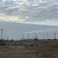 دونم طابو • الزبيدية واسط • معمل تنقية بذور