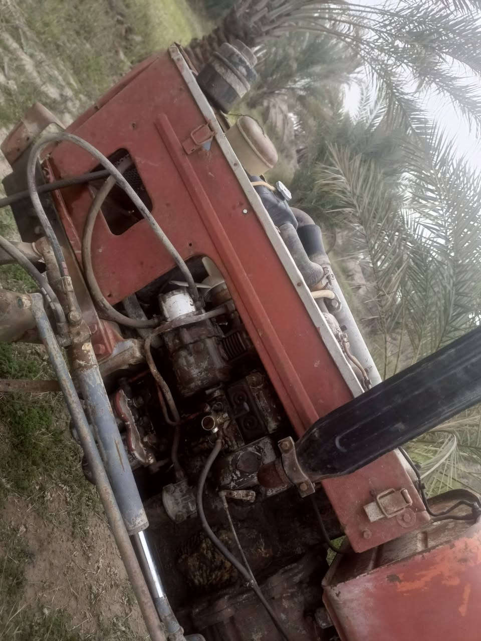 سلام عليكم 
عنتر للبيع (بدون) 
جاهزه للكراب تايرات 28بور ستيرن جدد مكينه وكير واكسل نضيفات ونكره سلف وياهه فدان (تم تنزل السعر 2500 ثنين مليون ونصف)  المكان بابل قرب سيطرة الاثار للستفسار خاص


**إذا كنت صاحب هذا الإعلان وتريد حذفه لأي سبب، رجاءا أرسل رسالة إلى الدعم الفني**