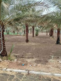كربلاء الأبراهيميه • دونم • سند ٢٥