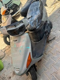 فراشة • فحل • نص ونص