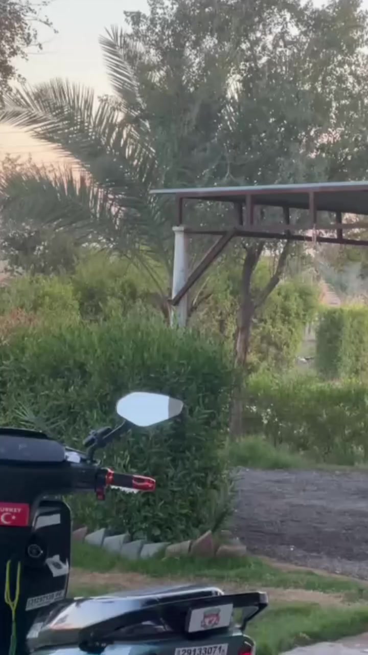 السلام عليكم
للبيع او امراوس حسب القناعه

تيسلا موديل2025

بطاريات6دبل

نظام3سرع

نظام Pبارك 

نظام Rترجع ليوره 

دبل اشاره +اشاره يمنه يسره 

لايت عالي ناصي 

نظام مسجل بلوتوث 

ملاحضه اكو وياها تجوه بس اني شايله

السعر 750وبي مجال 

يرهم مراوس حسب القناعه 

للأستفسار***********

مكاني تكريت الفرسان مقابل جامعه تكريت
