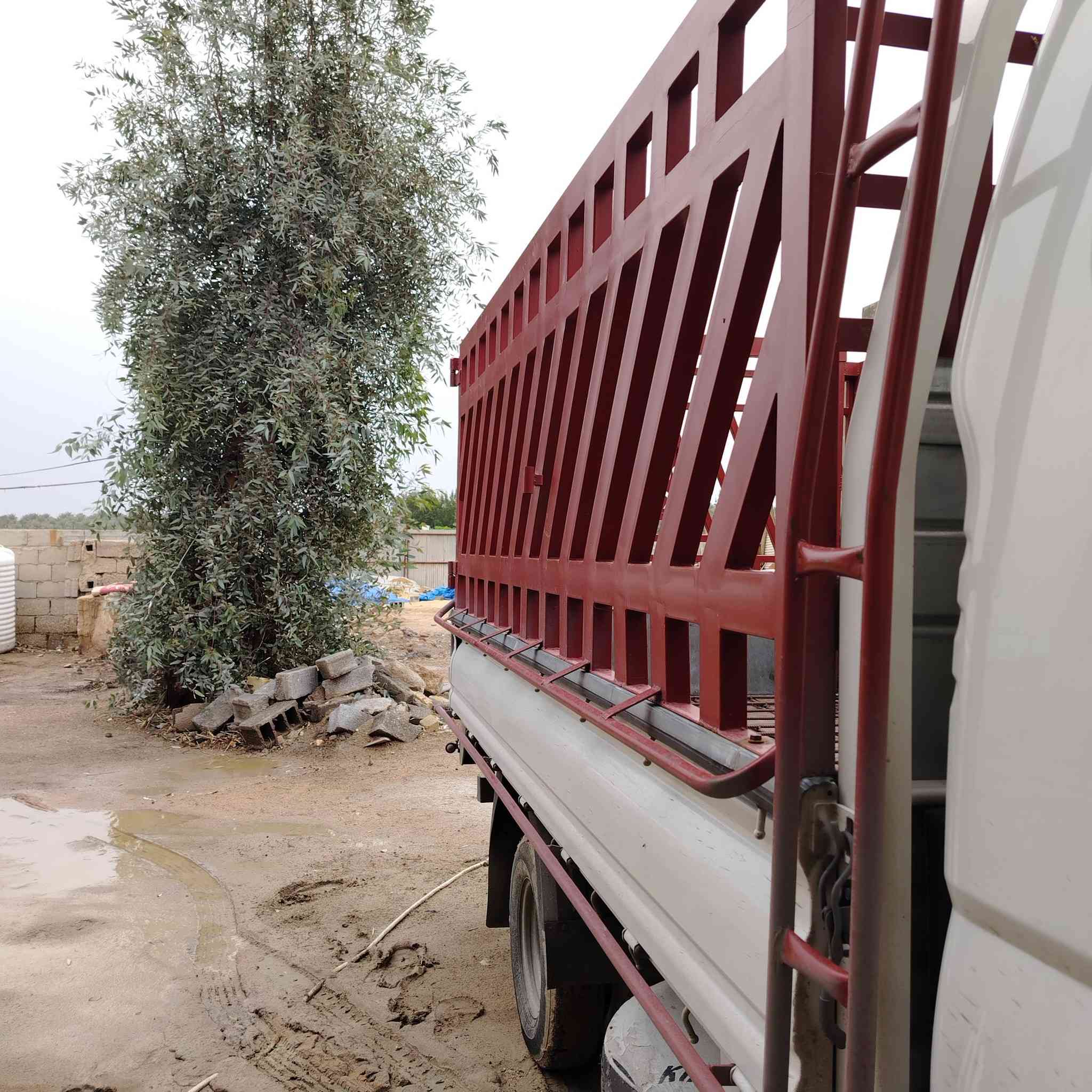 سلام عليكم محجر للبيع مال نصر 2026 ستوني مفصله
هاذه رقمي ***********
