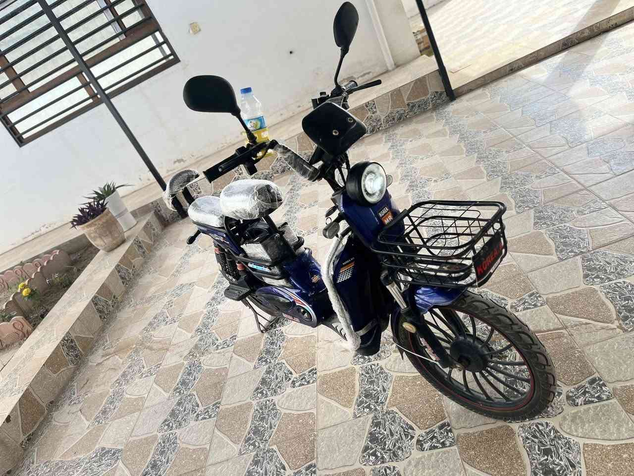 بوفروشتن زورپاکوجوانە هەموگیانی بەشەرت جوارپاتری جوارگیر 99ئەروات
هەموگیانی بەشەرت بیلادی عنوان کرکوک پنجاعلی 
سعری 300مجال 
***********
