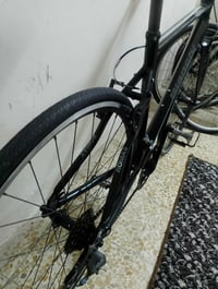 بيانكا ايطالي • سيستم كلاريس • الموصل