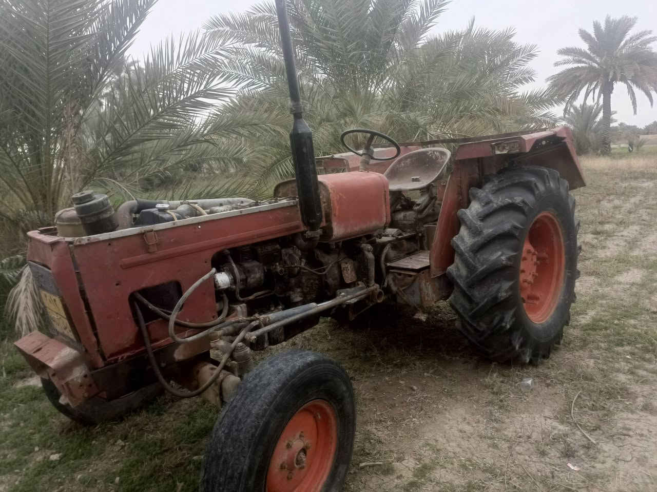 سلام عليكم 
عنتر للبيع (بدون) 
جاهزه للكراب تايرات 28بور ستيرن جدد مكينه وكير واكسل نضيفات ونكره سلف وياهه فدان (تم تنزل السعر 2500 ثنين مليون ونصف)  المكان بابل قرب سيطرة الاثار للستفسار خاص


**إذا كنت صاحب هذا الإعلان وتريد حذفه لأي سبب، رجاءا أرسل رسالة إلى الدعم الفني**