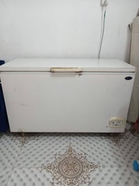 مجمدة أصلية • عرض ١٫٥م • ميسان حي الوحدة