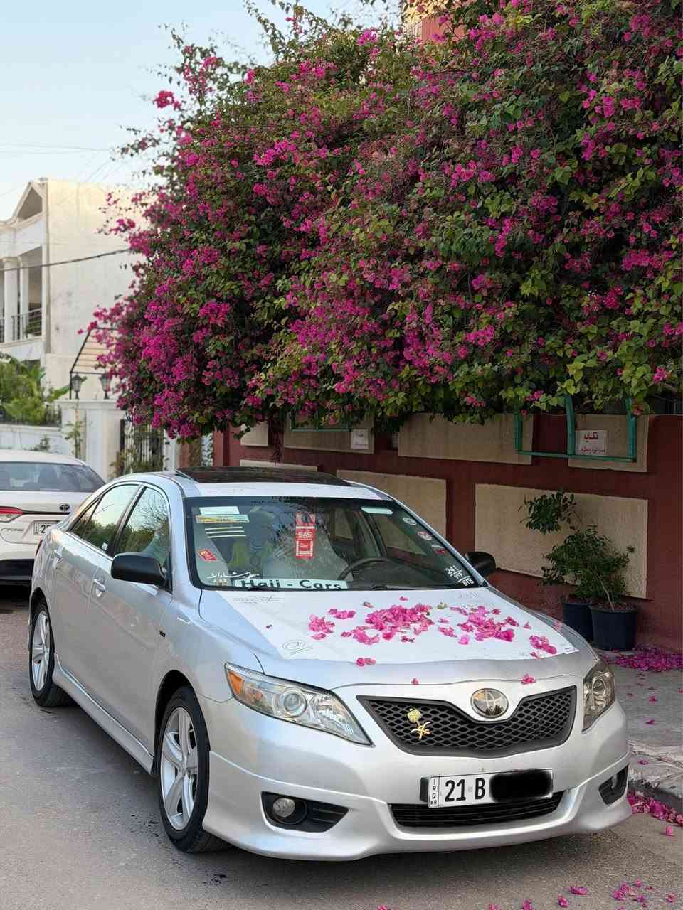 كوردي --عربي 
كامري V6ماسفات افلون سيارة VIPكلش  قليل نفس هاي مواصفات سيارة بل كارتون📦🩶 
جاهزة مابي نقس الف دينار  
بيها قطع و ربع بونيت و ربع جاملغ صبخ  معرك مامفتوع بشرت سيارة معرك كير افلون 
كشنات تدفي حار  سيارة بسمة فتعة پردة كاهرباي بلادي 
كشنات جلد كشنات سياعي كشنات كاهربائي فول فول فول مواسفات ماكو كامري نفس هاي مواسفات رقم سنوي  جديد نفس يوم تعويل مكان سيارة اربيل سعر (105$)   
رقم واتساب (***********)
                           كوردي 
كامري V6مواسةفات ئةڤةلون   VIP لةو مواسةفاتة زور كةمة كوشين جلد كوشين گةرم كوشين سياعي كوشين كارةبايي بةسمة سلايد پةردة بيلاد  سپورت بيلا دنيا مواسةفاتي تر مةكينةي نةكراوةتةوة هةمو شتيكي جاهيزة رقم سةنةوي نوية  سةيارةكة ناو كارتونة📦🩶 
هةمو شتيك بةشةرت كامري لةو مواسةفاتة زور كةمة 
سعر (105$) شويني سةيارة هةولير 
رقم واتساب(***********) أربيل, العراق
