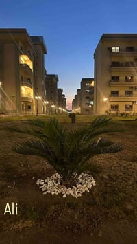 مجمع سومو زيونة • ١٧٥م • ٣ غرف نوم