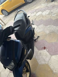 موديل 23 • بدون أوراق • بيها مجال