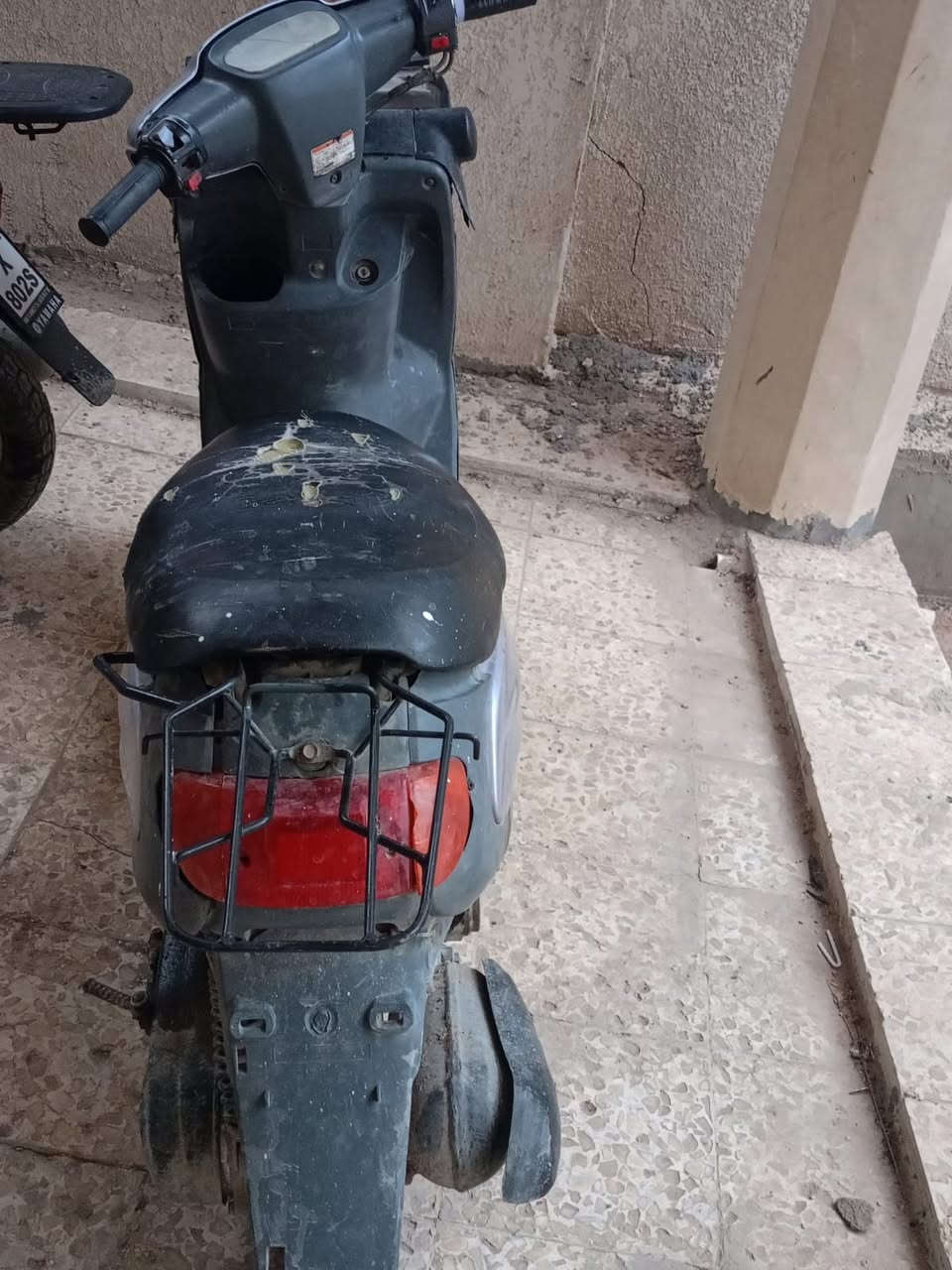 منغولي للبيع 125مجفته فقط
***********
