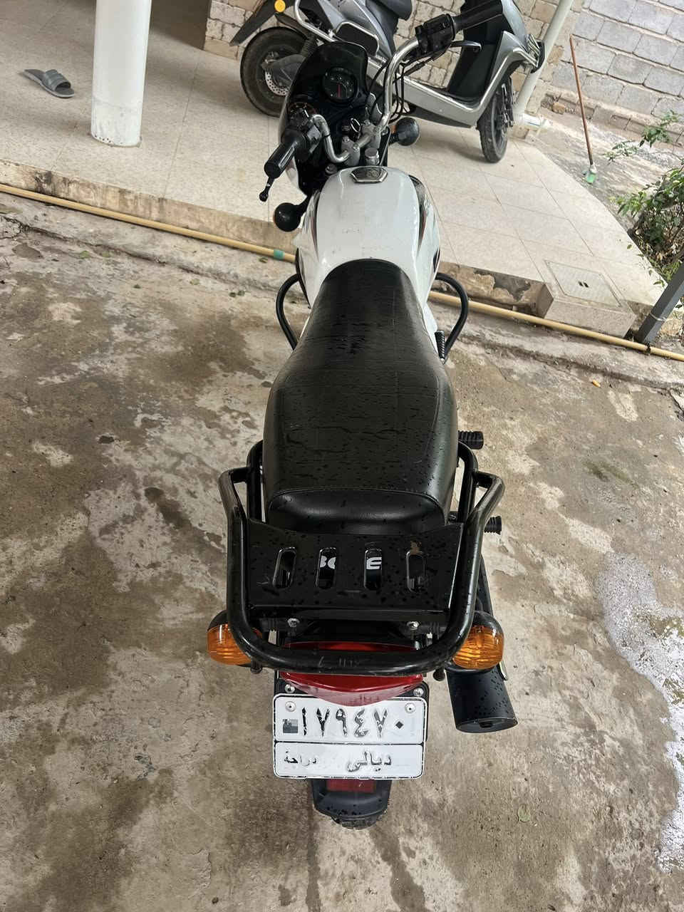 السلام عليكم شبابنه الطيبه دراجه بوكسر موديل 22 الدراجه كفاله عامه برغي ممفتوح بيه دراجه تفيسل ممفيسله وعدكم الحساب الدراجه باسمي تحويل ثاني يوم تفاصيل اكثر اتصل ع رقم *********** مكاني بعقوبه جسر خرنابات
