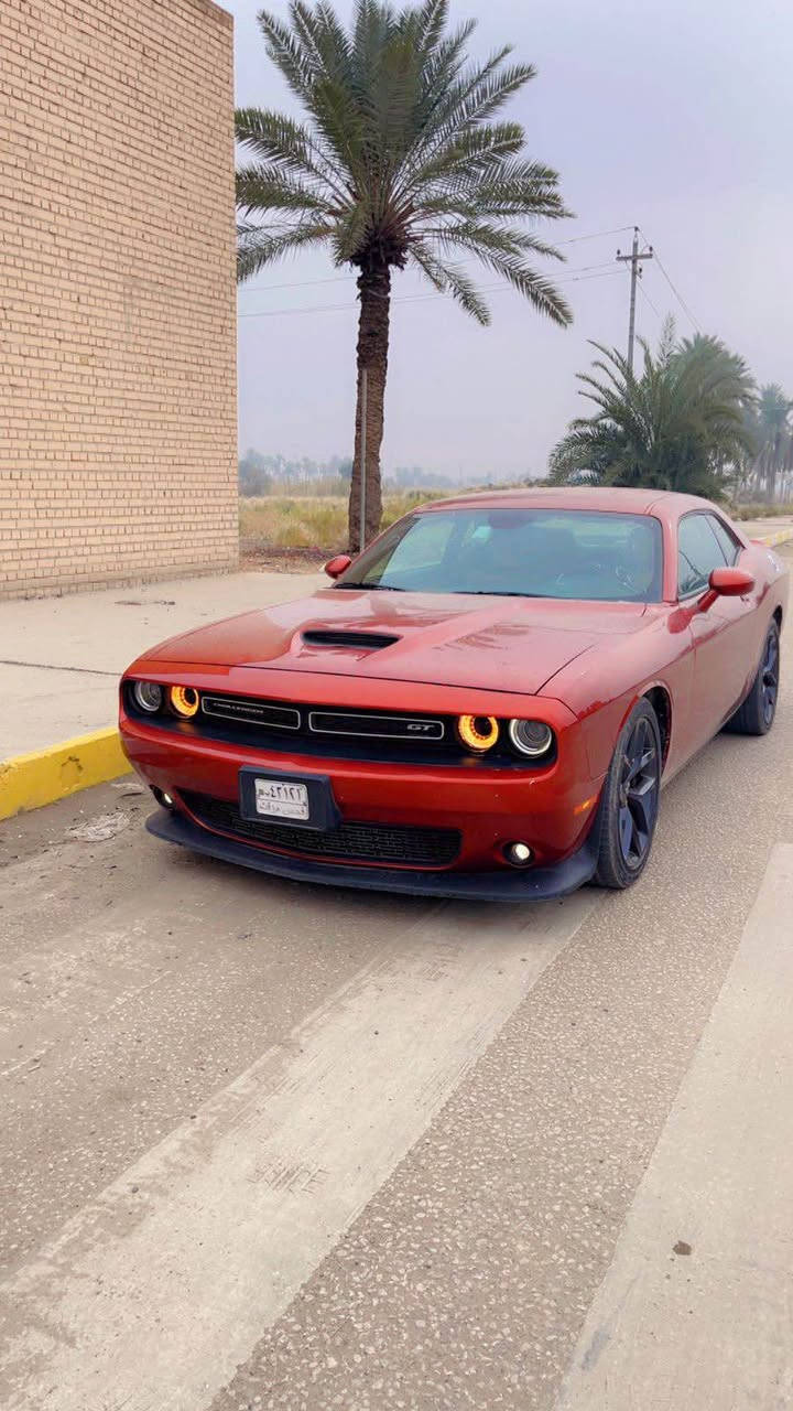 سلام عليكم جالنجر مديل2022لون مميز كلين تايتل كفاله عامه غير طخه بسيطه موضحه بصوه هناا صارت عندي مكدار شبر ونص ماشيه 46بدًون رقم سعرها 188وبيها مجال بسيط مكاني بحله رقمي ***********صور امريكا منشور حلة, بابل
