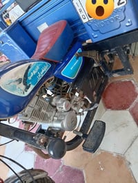 ستوته • صقر • ٢٠٢٣