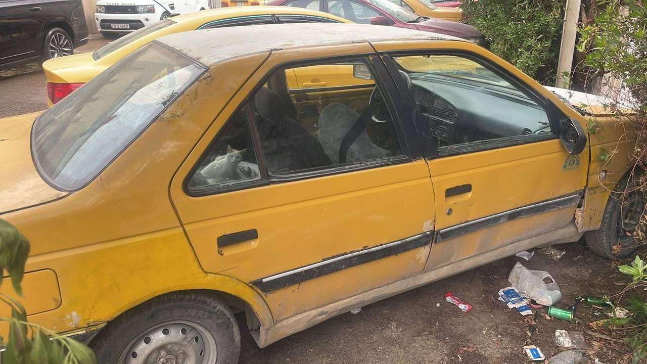 بيجو روا للبيع شغالة يرادلهه ترتيب ماندل راعيهه السعر ٧ وبيهه مجال مكاني بغداد الكرخ
***********
