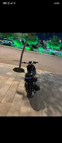 سكنس جبلي • ٢٠١٤ • كفاله