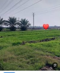 المحمودية • ٦٠٠دونم • حصة مائية