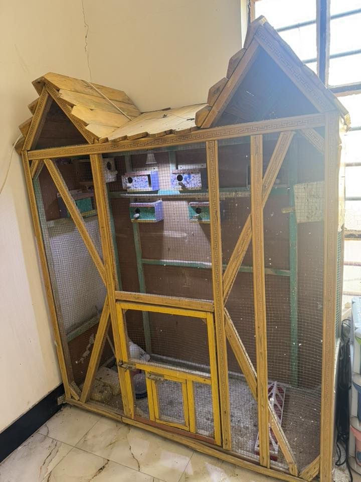 قفص طيور للأستفسار 

‭٠٧٨٢ ٧٧٢ ٤٨٣٣‬
