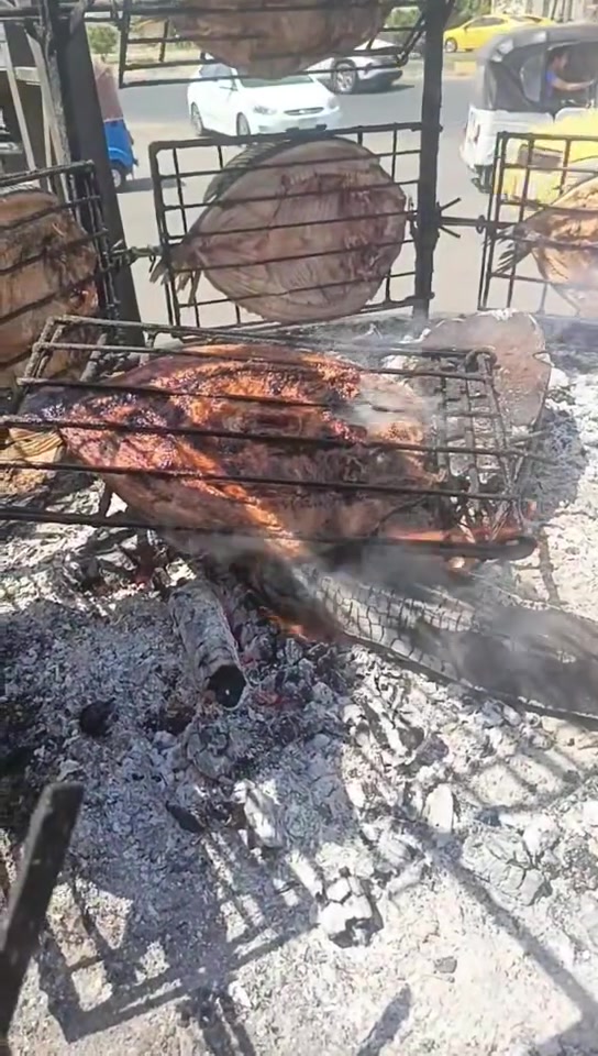 (أسماك البدور )
والف عافية مقدمآ.   
ضروري العزيمة سمك مسكوف
خدمه توصيل كافه بغداد 24🛵
***********
 وتساب اتصال☎️
